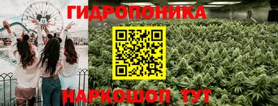 спайс Кулебаки