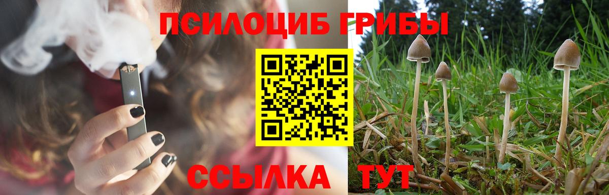 Псилоцибиновые грибы Psilocybine cubensis Ставрополь