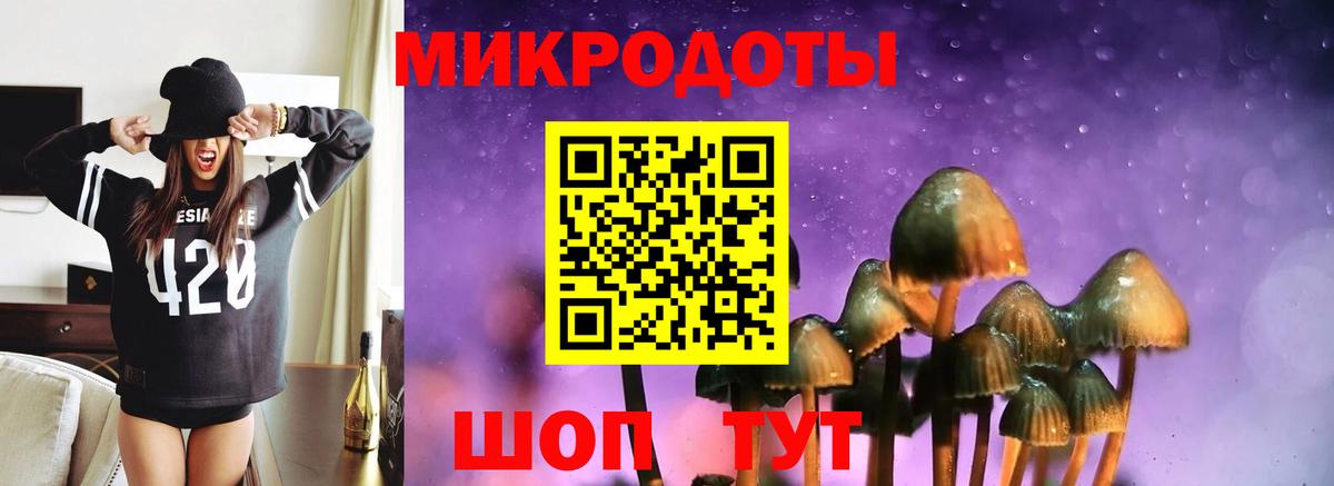 Галлюциногенные грибы Cubensis  Вход с VPN  купить наркотики цена  Ставрополь 