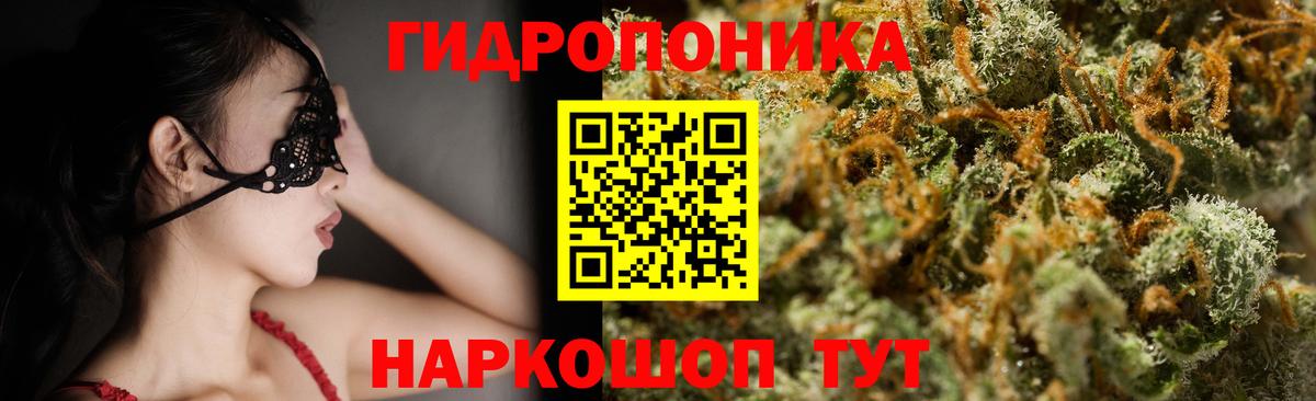 Бошки Шишки SATIVA & INDICA  Вход с VPN  Конопля планчик  Бошки Шишки планчик  Ставрополь 