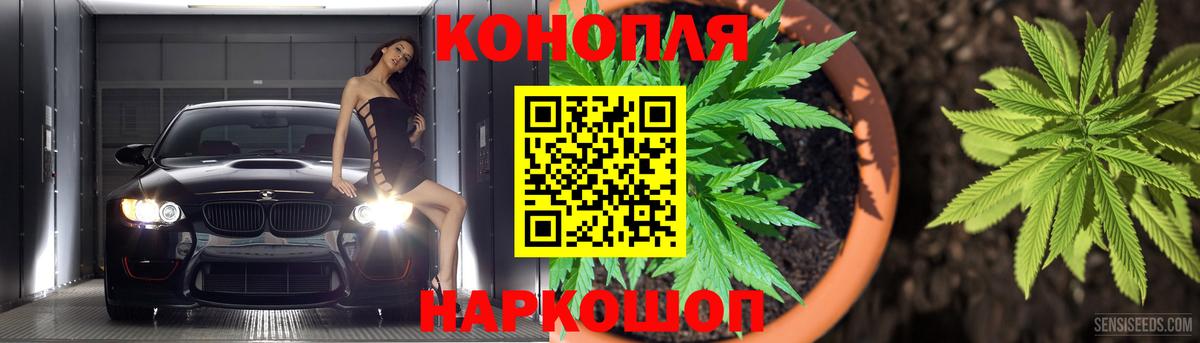 Бошки марихуана ГИДРОПОН Ставрополь